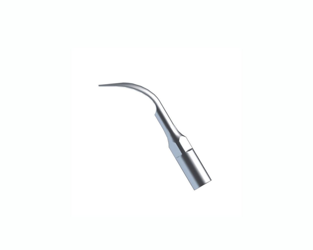 Woodpecker Scalers Tip